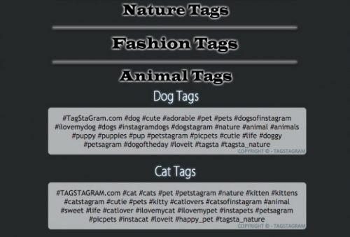 Instagram-hashtags-tagstagram-640x434-620x420