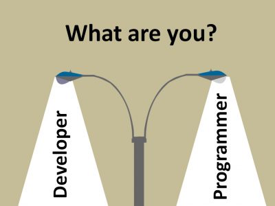 091504040417DeveloperorProgrammer