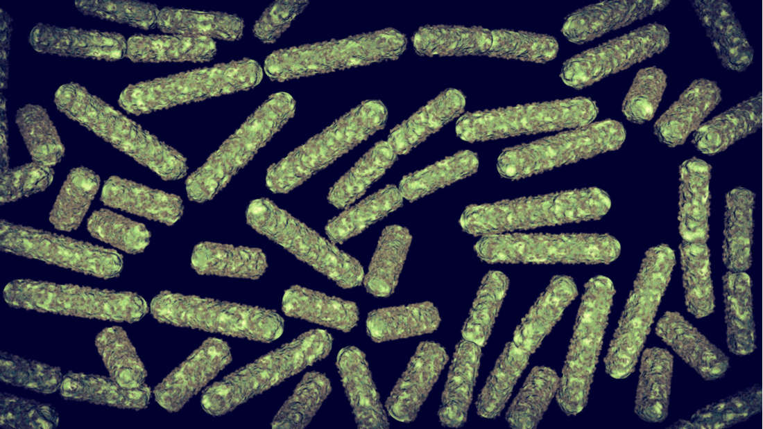 باکتری ها در فضا نسبت به آنتی‌بیوتیک ها بیشتر مقاوم هستند