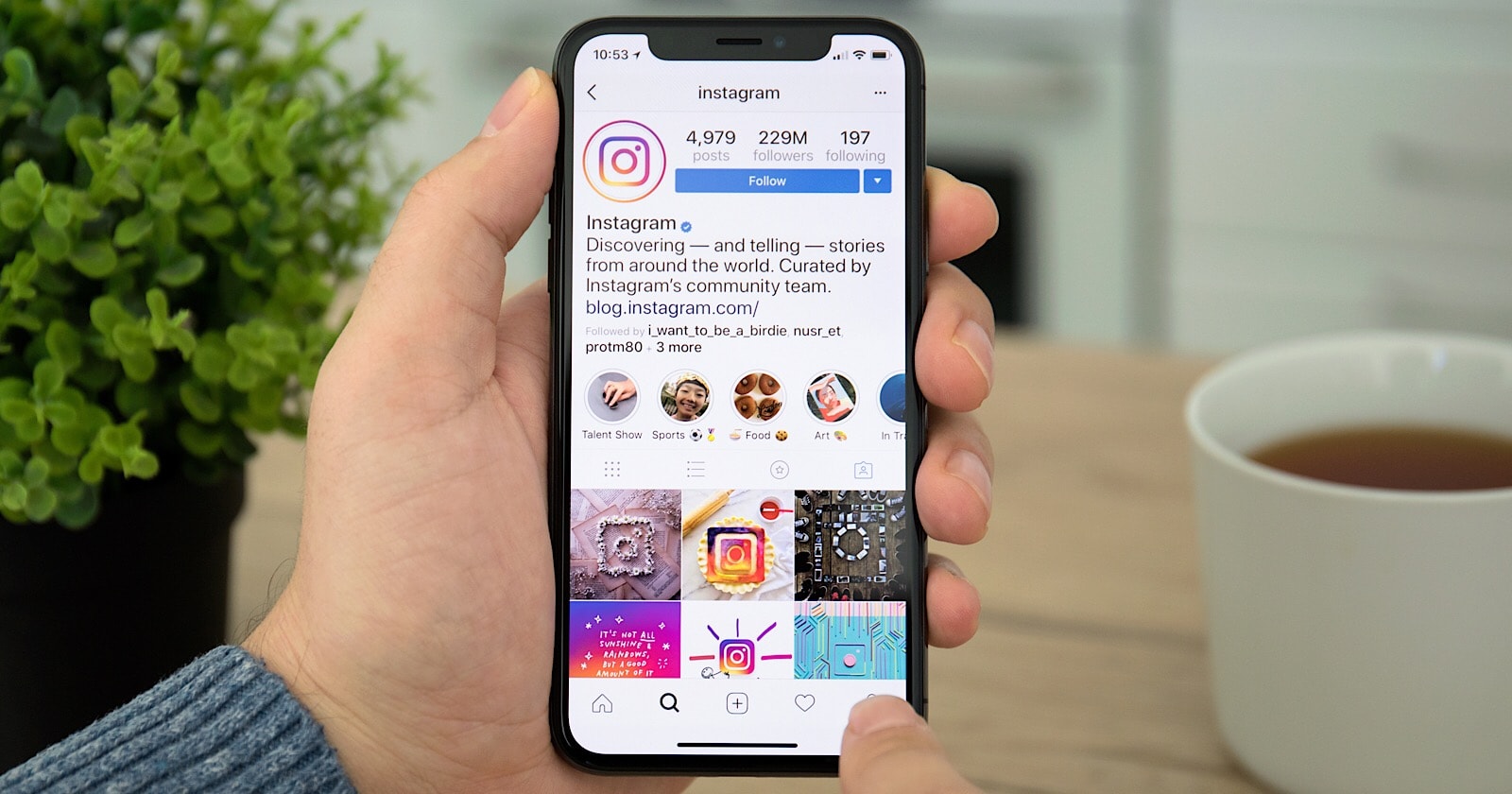 Instagram Lets Users Export Everything They've Shared