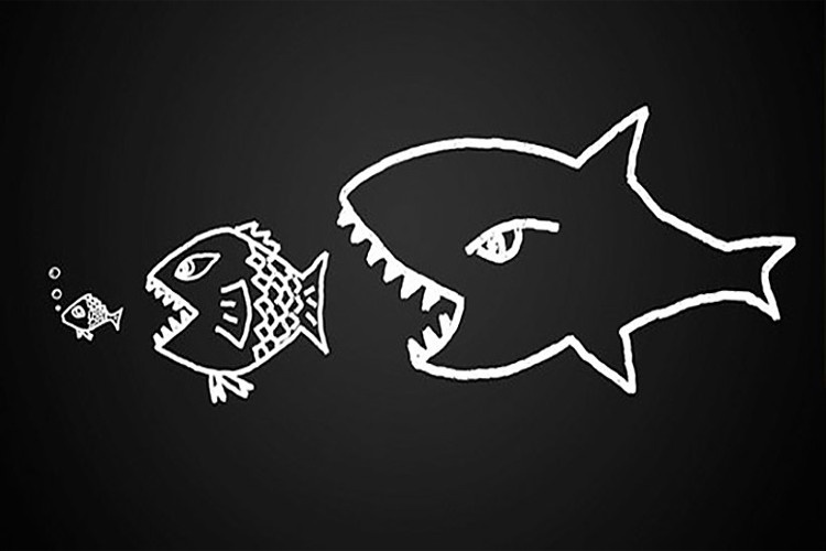 سامسونگ همچنان به تصاحب بلک‌بری می‌اندیشد