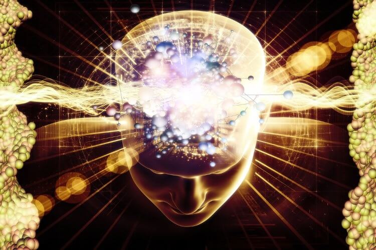 شناخت مغز و رازهای پنهان آن