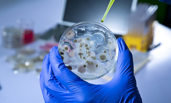 داشنمندان به دنبال ساخت نیروگاه های تولید برق با استفاده از باکتری ها هستند