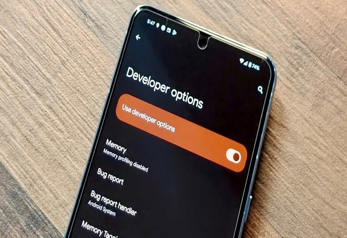 صفحه Developer options و کلید Use developer options در حالت روشن