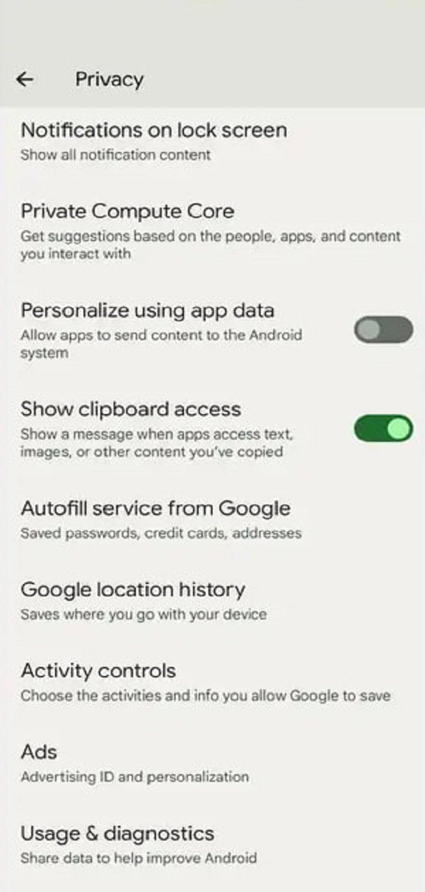 فهرست تنظیمات حریم خصوصی اندروید با کلید Show clipboard access روشن