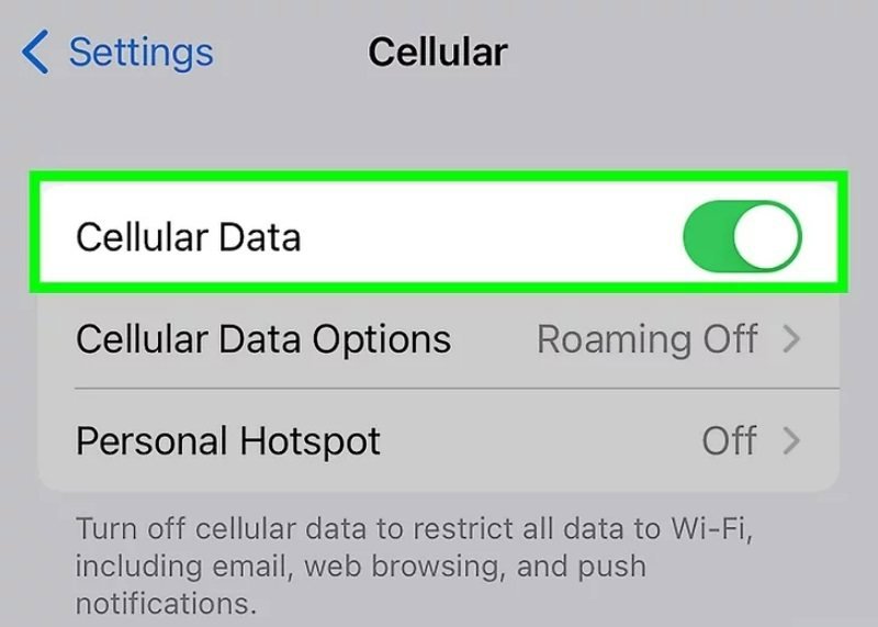 بررسی فعال بودن Cellular Data در مسیر Settings به Cellular